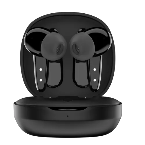 Noise Buds VS404 Truly Wireless Earbuds - XOXODAY Exclusive